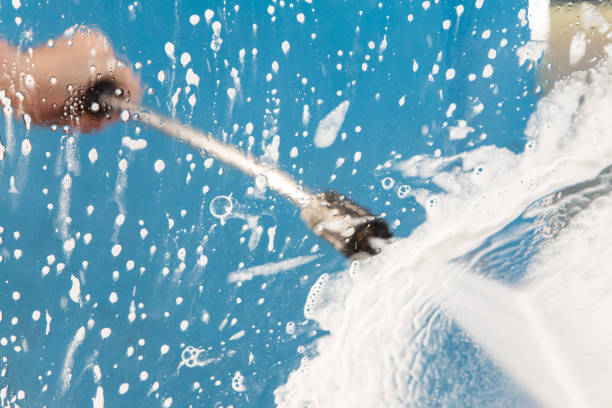 Best Roof Cleaning and Mildew Removal in Alexandria, VA