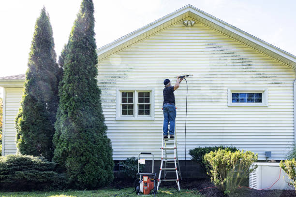 Best Fence Cleaning and Maintenance in Alexandria, VA