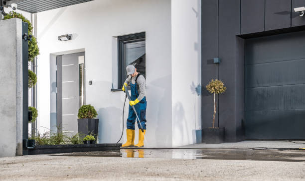 Best Pool Deck Cleaning in Alexandria, VA